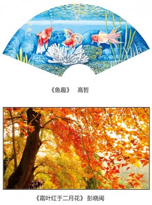 2014年12月绘画摄影作品选登