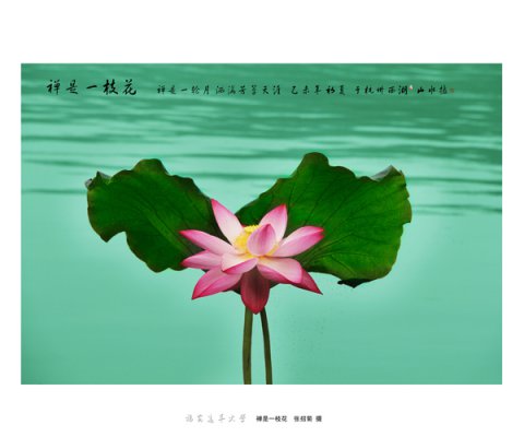 学员摄影作品集